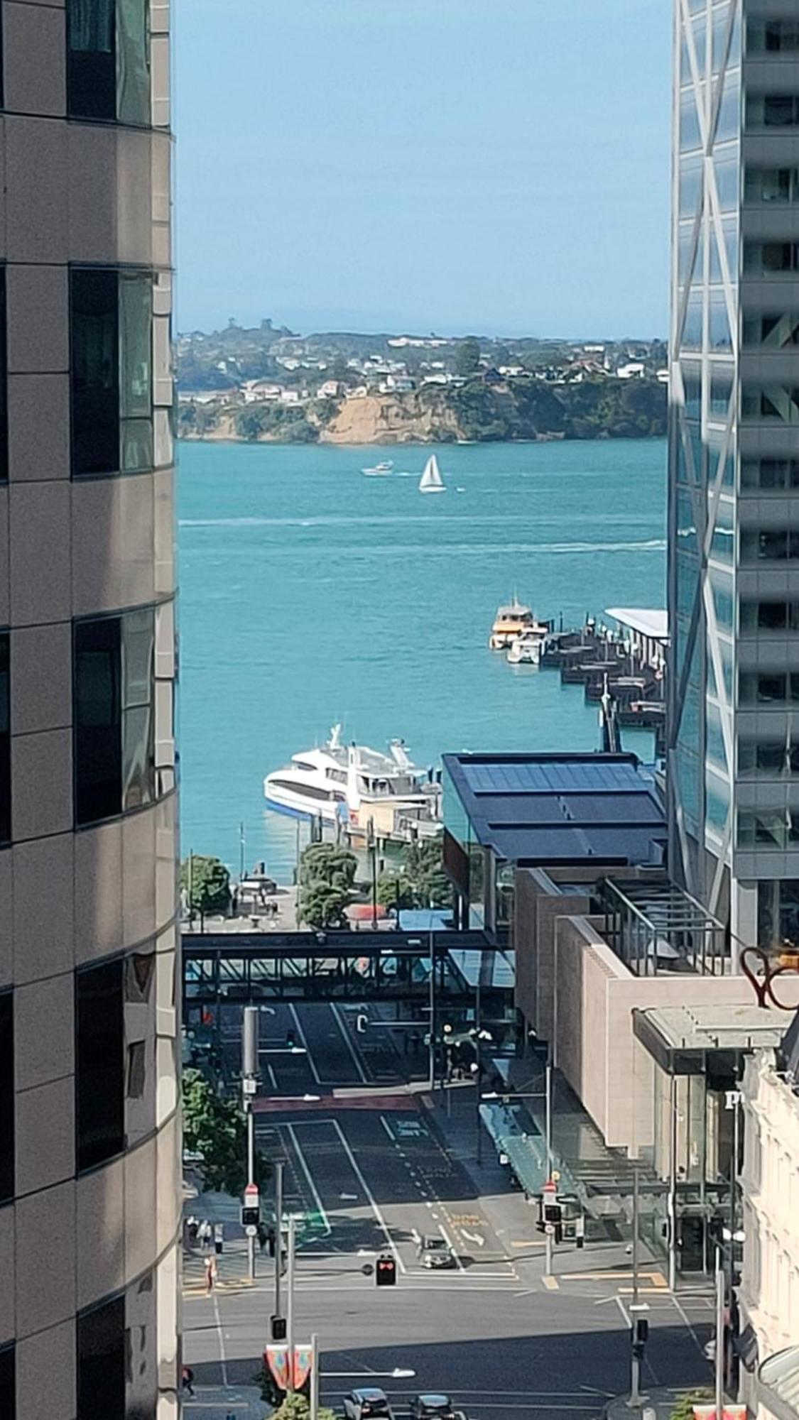 20 Pct Off Sky Stars Park Apartment Auckland Habitación foto
